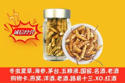 烟台市莱山回收散虫草