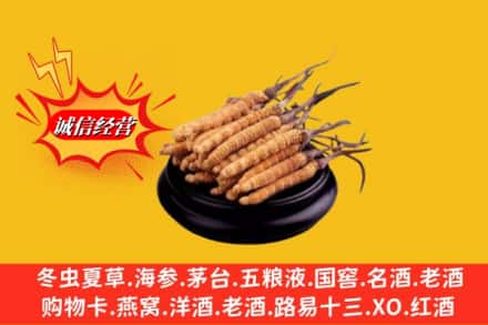 烟台市莱山名酒回收冬虫夏草.jpg